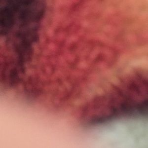 Meet your Posher, Ling